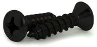 #2 X 1/4 BLACK ICE OVAL HEAD PHILLIPS SELF-TAPPING SCREW 18-8 STAINLESS